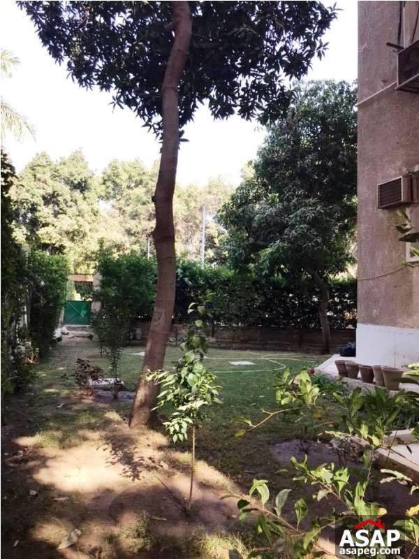 Furnished Apartment with Garden in Maadi Furnished Apartment with Garden in Maadi
