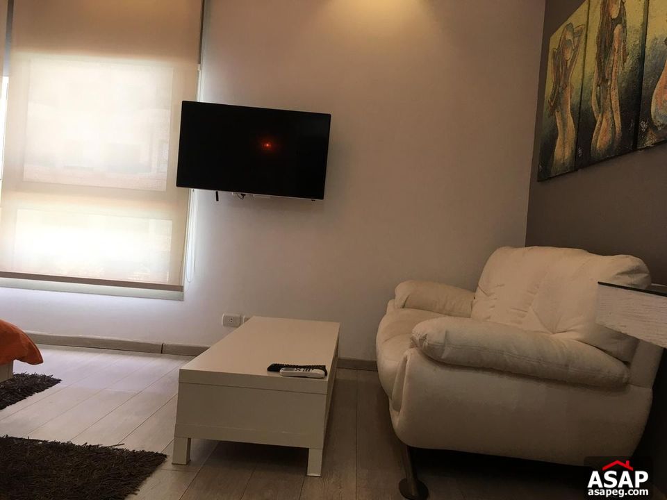 Furnished Studio for Rent in Maadi Sarayat Furnished Studio for Rent in Maadi Sarayat
