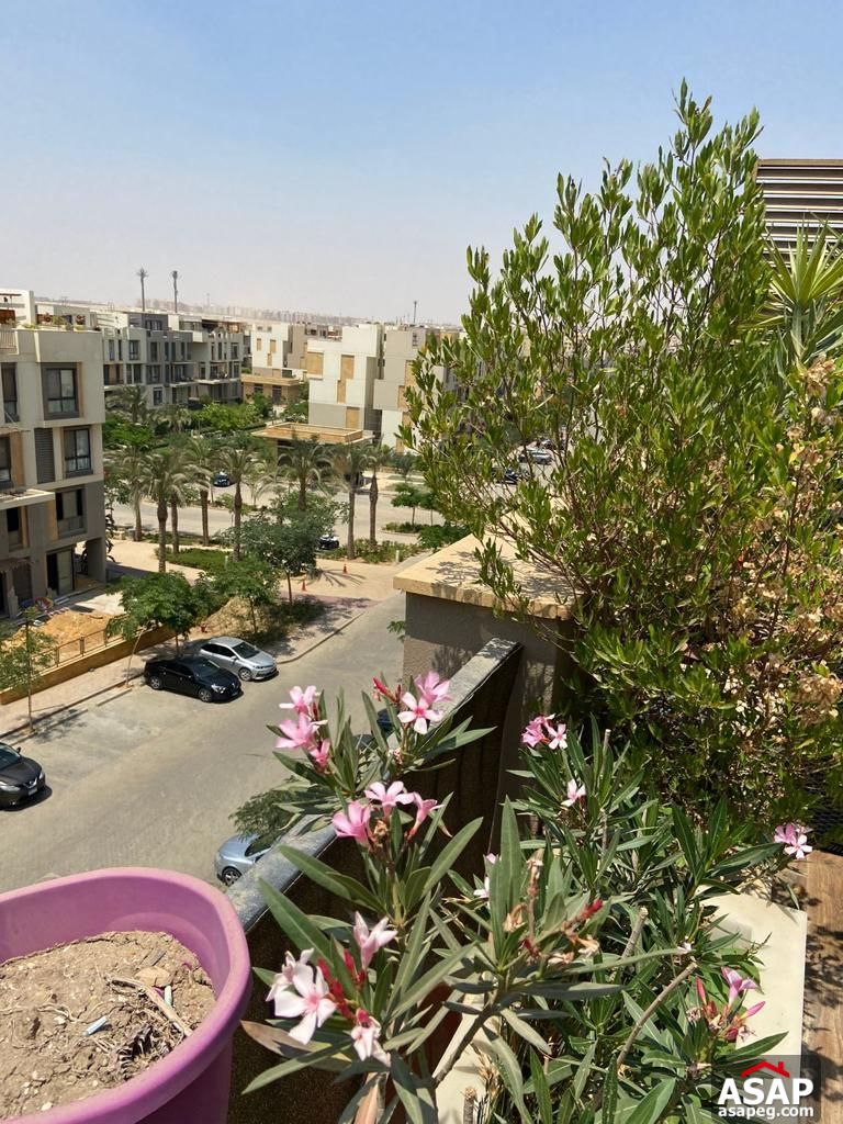 Triplex for Sale in Eastown Sodic