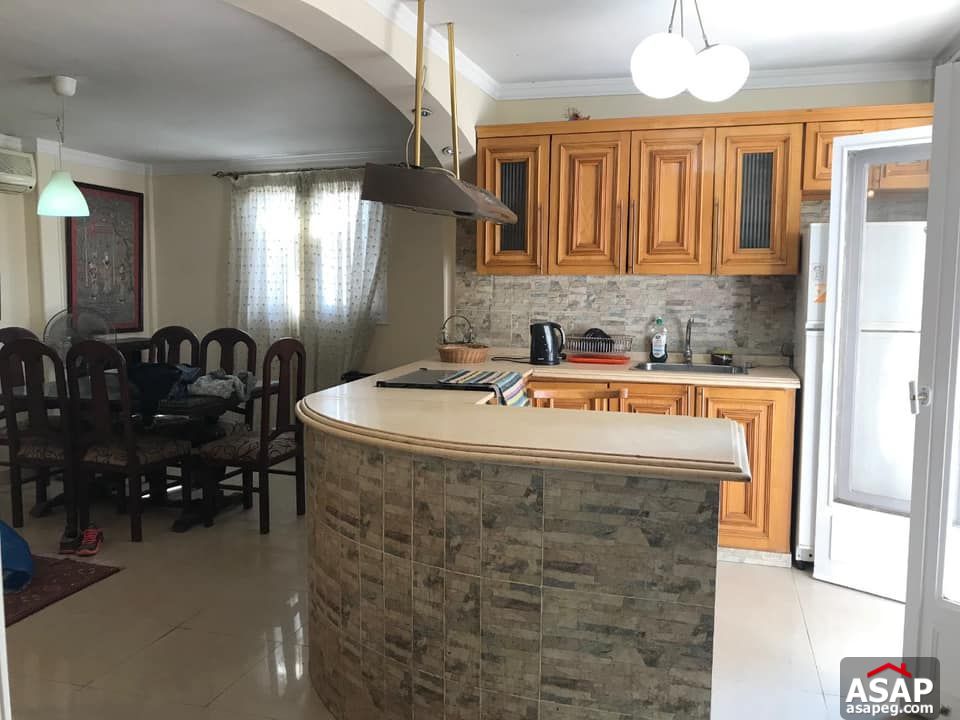 Apartment for Rent in Zamalek Apartment for Rent in Zamalek