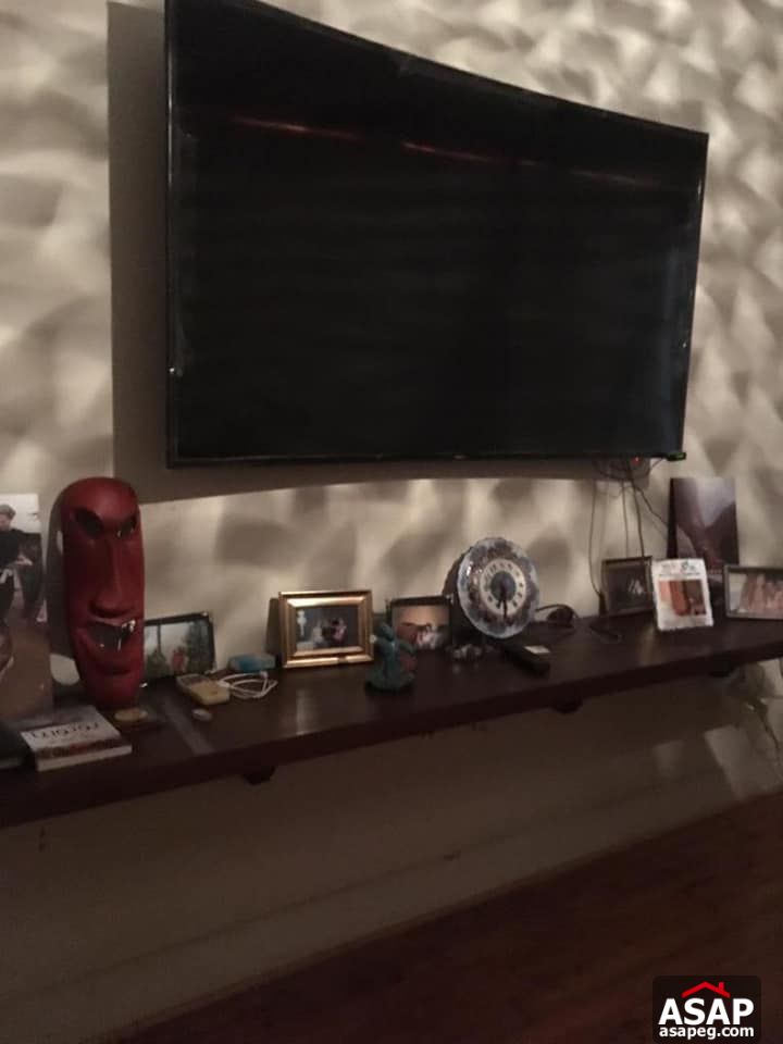 Apartment for Rent in Zamalek - Cairo Apartment for Rent in Zamalek - Cairo