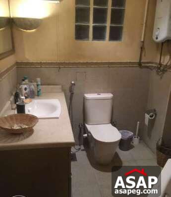 Furnished Apartment for Rent in Zamalek Furnished Apartment for Rent in Zamalek