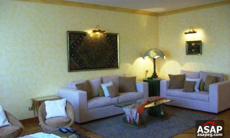 Apartment for Rent in Dokki Apartment for Rent in Dokki