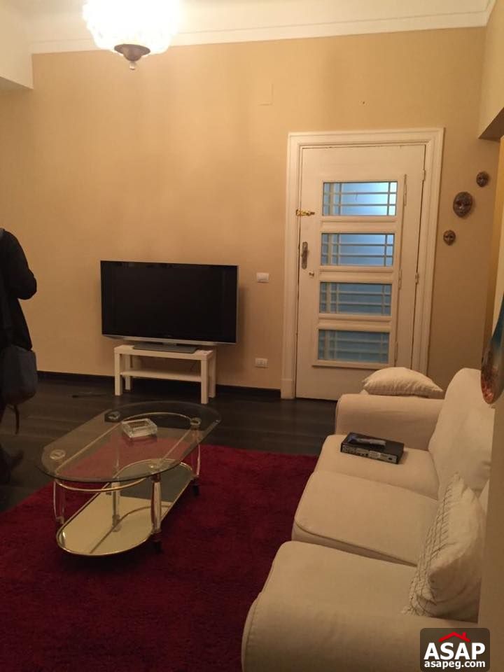 Apartment for rent in zamalek Apartment for rent in zamalek