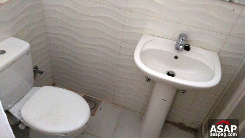 Apartment for rent in zamalek