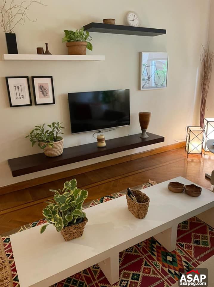 Amazing Apartment for Rent in Zamalek Amazing Apartment for Rent in Zamalek