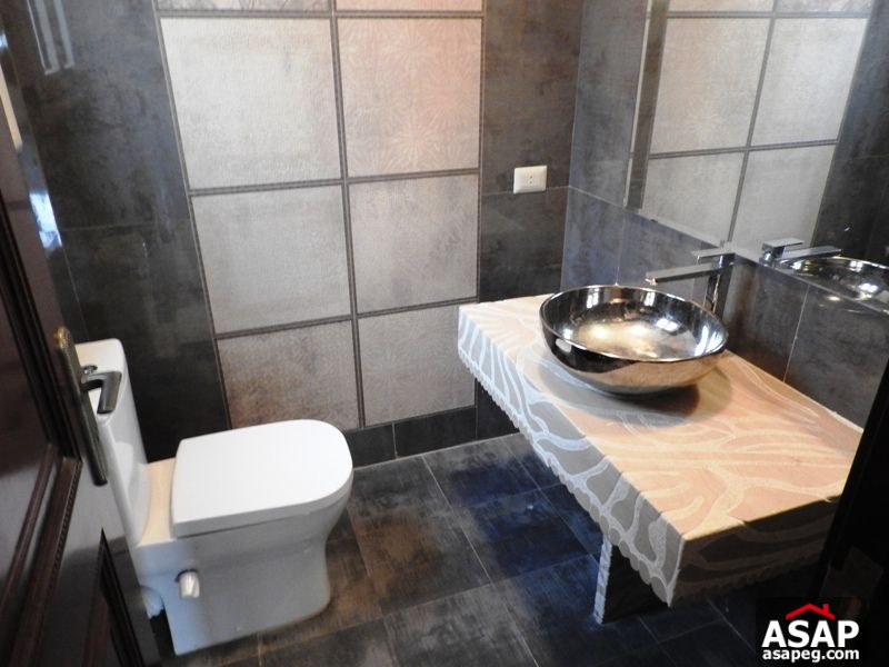 Modern Penthouse for Rent in Zamalek