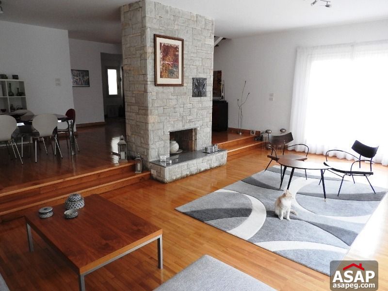 Villa with Garden for Rent in Maadi Villa with Garden for Rent in Maadi