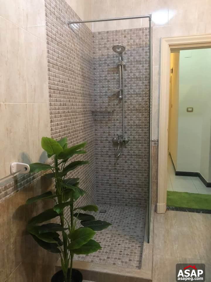 Apartment for Rent in Zamalek Apartment for Rent in Zamalek