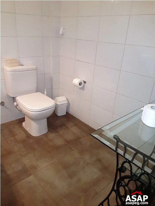 Furnished Villa for Rent in Zamalek Furnished Villa for Rent in Zamalek