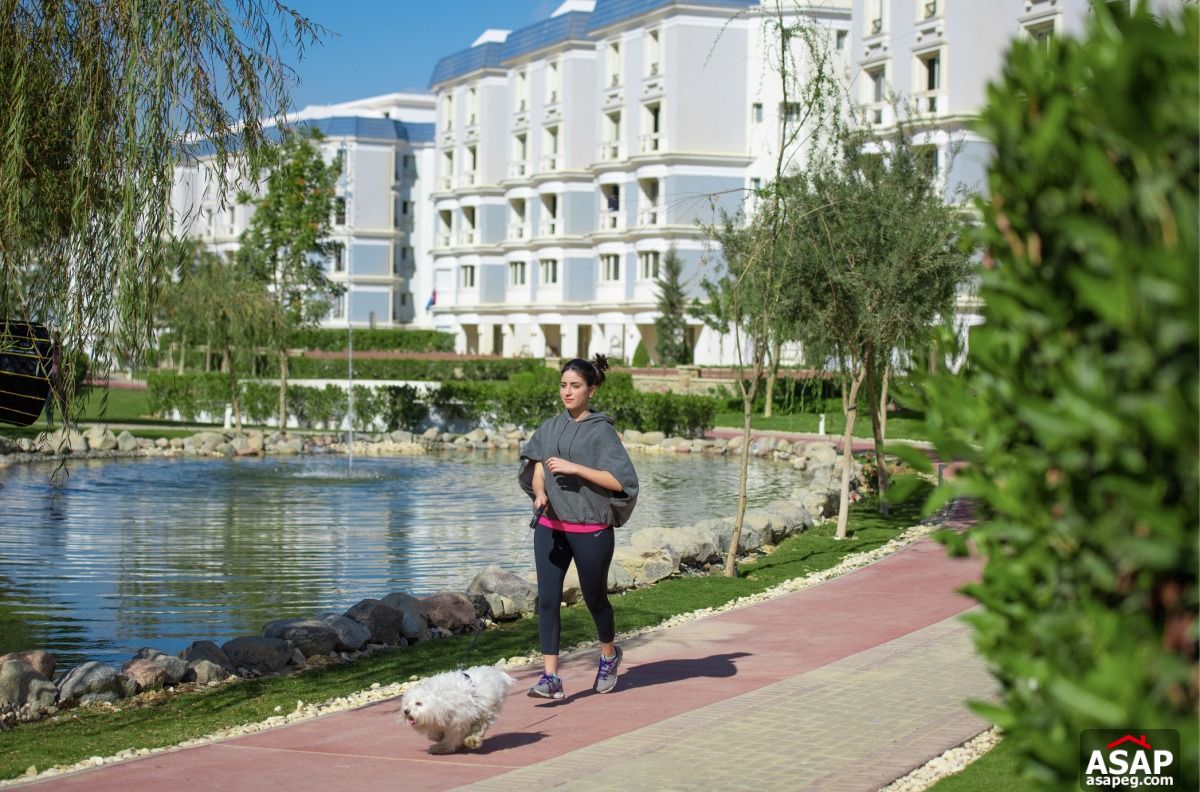 Apartment for Sale in Mountain View Hyde Park