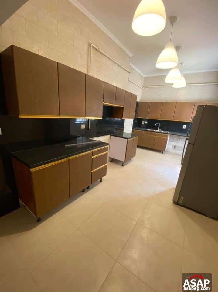 Big Apartment for Rent in Zamalek Big Apartment for Rent in Zamalek