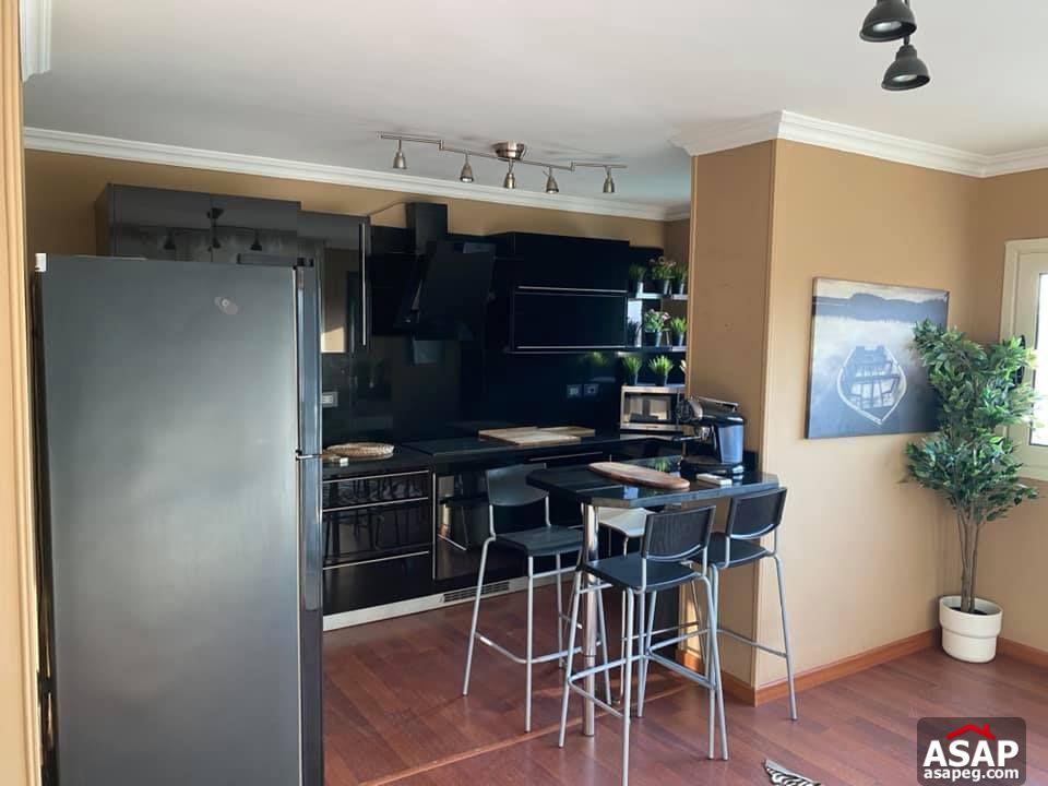 Flat with Nile View for Rent in Zamalek Flat with Nile View for Rent in Zamalek