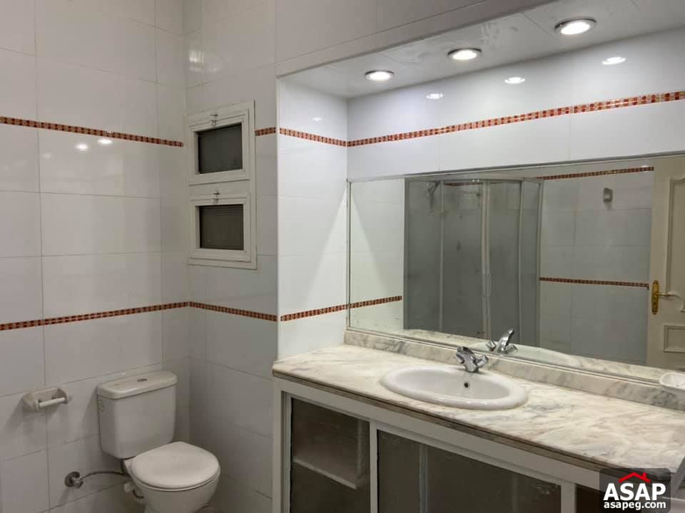 Apartment for Rent in Zamalek Apartment for Rent in Zamalek