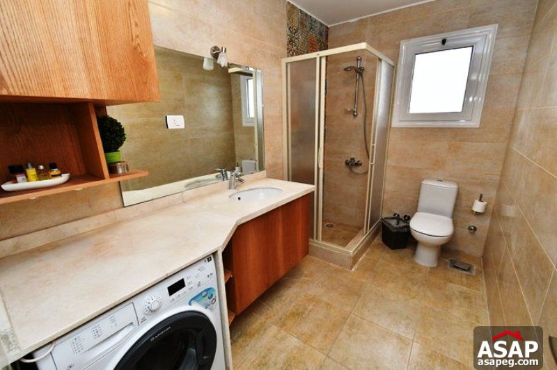 Apartment for Rent in Zamalek Apartment for Rent in Zamalek