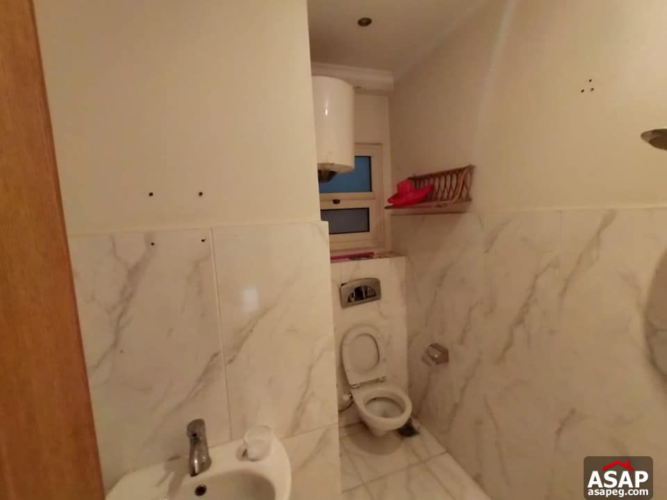 Apartment for Rent in Zamalek Apartment for Rent in Zamalek