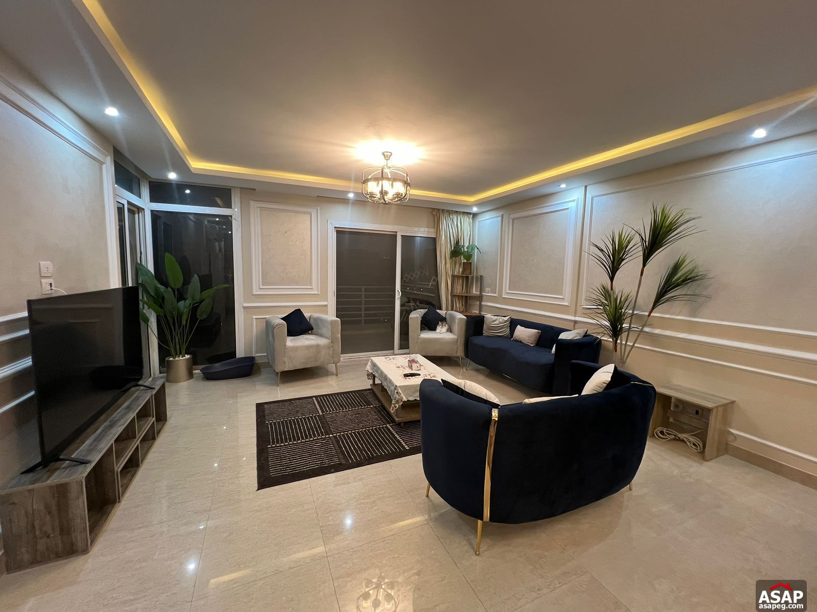 Furnished Apartment for Rent in Hyde Park