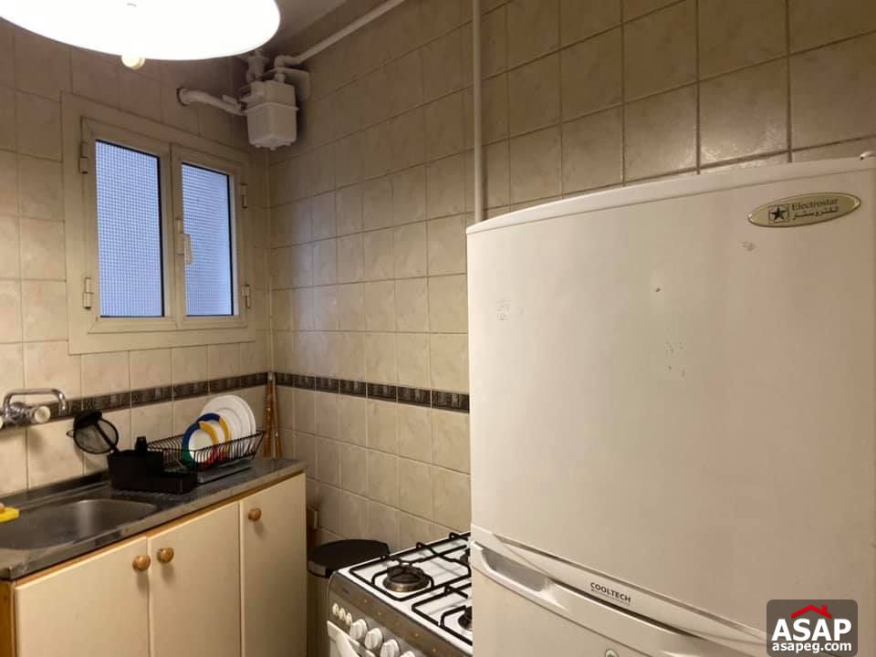 Apartment for Rent in Zamalek