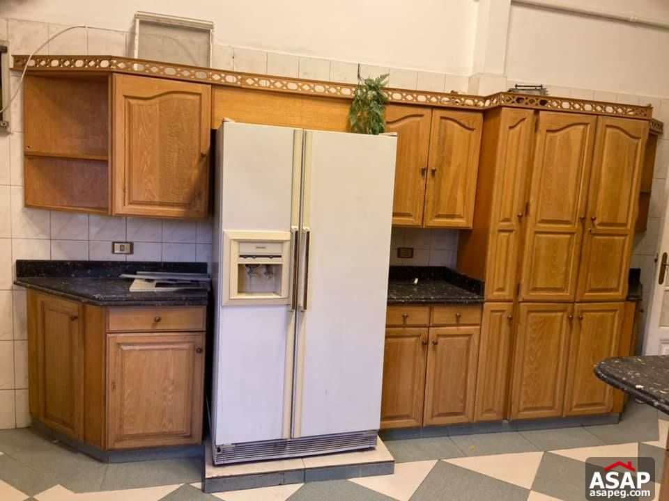 Apartment for Rent in Zamalek Apartment for Rent in Zamalek