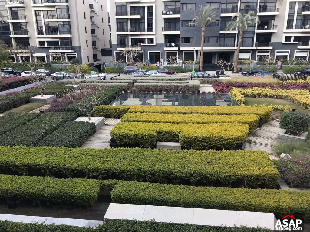 Apartment for Rent in the WaterWay Apartment for Rent in the WaterWay