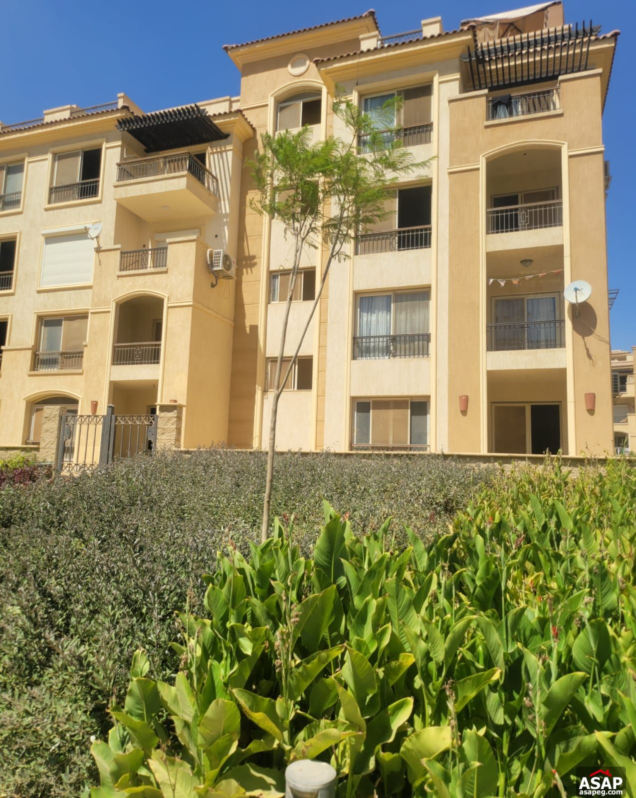 Apartment for Sale in Stone Residence Apartment for Sale in Stone Residence