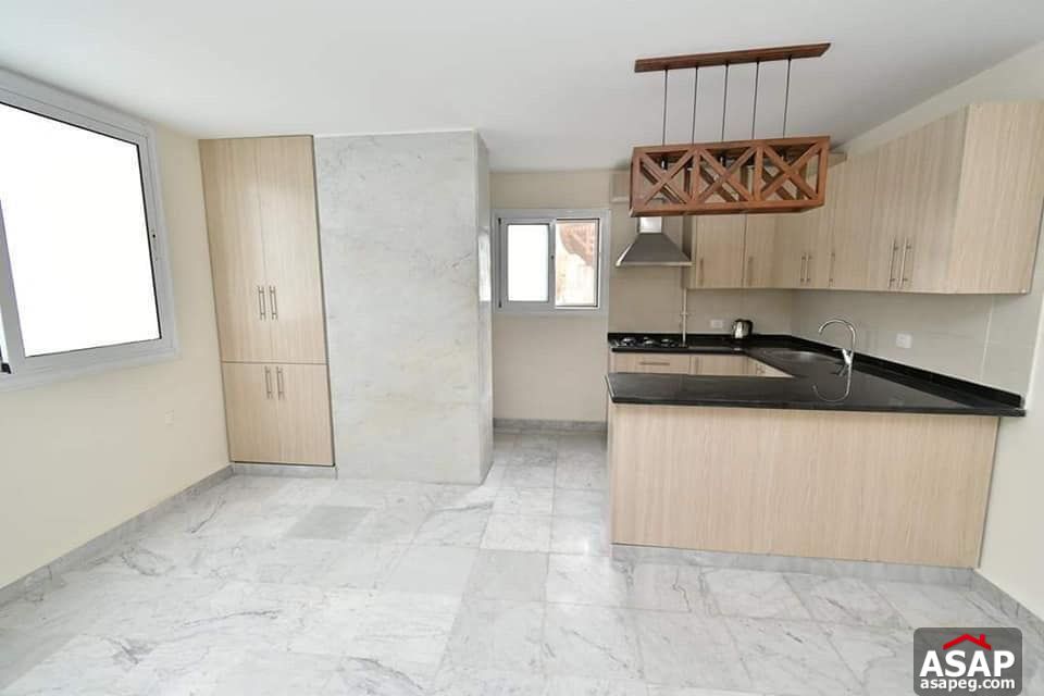 Apartment for Rent in Zamalek Apartment for Rent in Zamalek