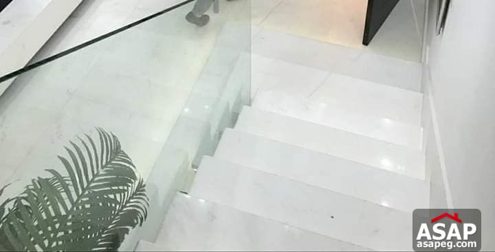 Furnished Duplex with Garden for Rent in Eastown