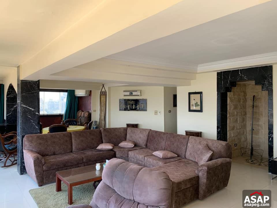 Apartments for Rent in Zamalek Apartments for Rent in Zamalek