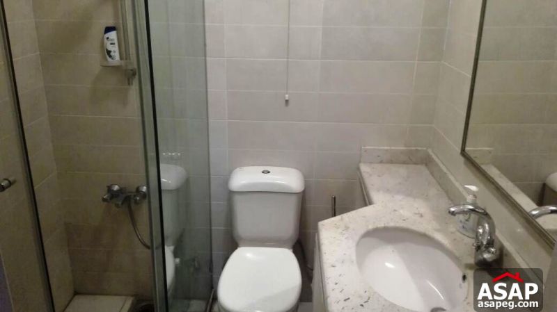 Furnished Apartment with Balcony for Rent in Maadi Furnished Apartment with Balcony for Rent in Maadi