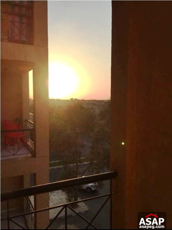 Apartment for Rent in Rehab City Apartment for Rent in Rehab City