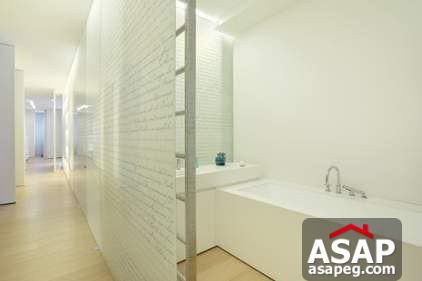 Nica Flat for Rent in Zamalek Nica Flat for Rent in Zamalek