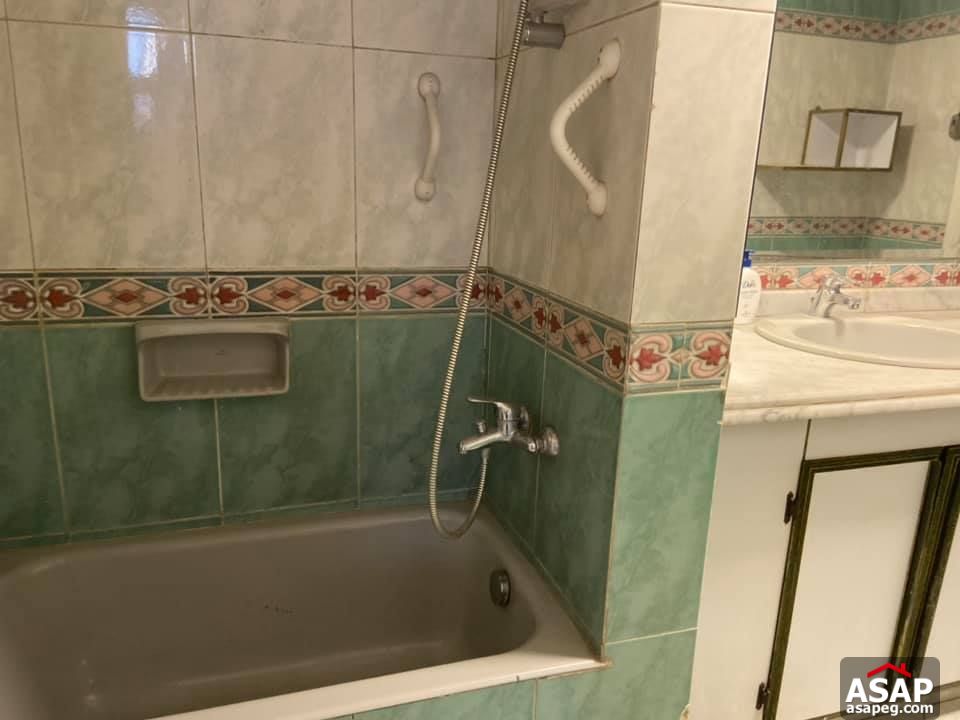 Apartment for Rent in Zamalek Apartment for Rent in Zamalek