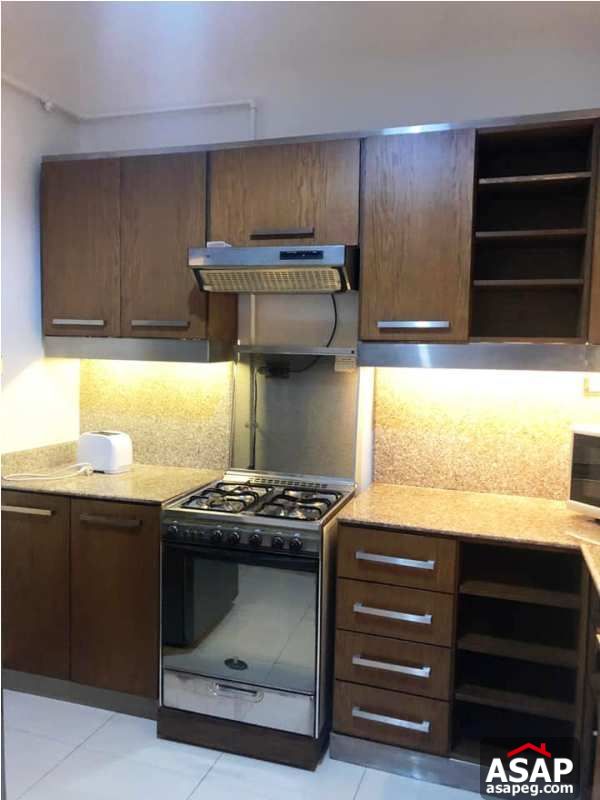 Modern Flat for Rent in Zamalek Modern Flat for Rent in Zamalek