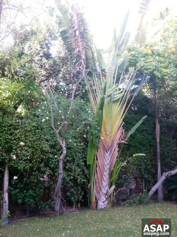 Villa with Big Garden for Sale in Rehab Villa with Big Garden for Sale in Rehab