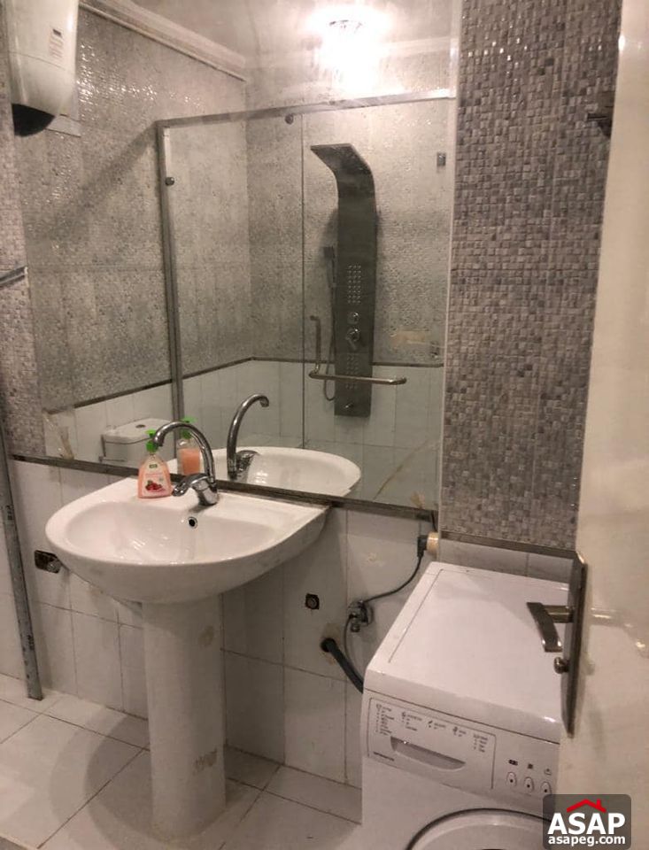 Furnished Apartment for Rent in Zamalek Furnished Apartment for Rent in Zamalek