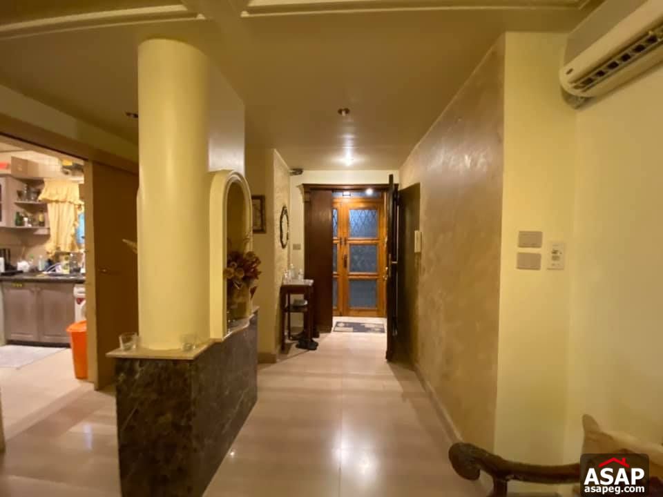 Apartment for Rent in Zamalek Apartment for Rent in Zamalek