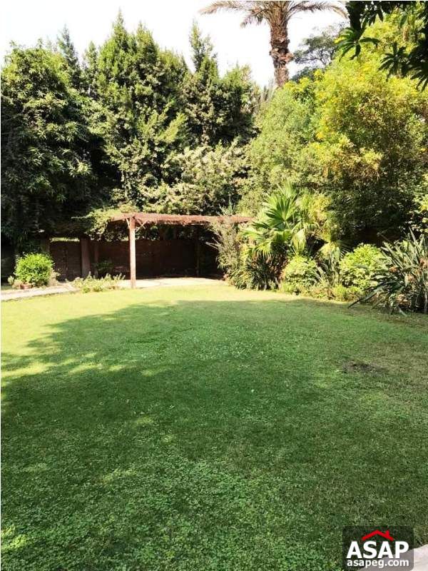 Furnished Villa with Swimming Pool in Maadi for Rent Furnished Villa with Swimming Pool in Maadi for Rent