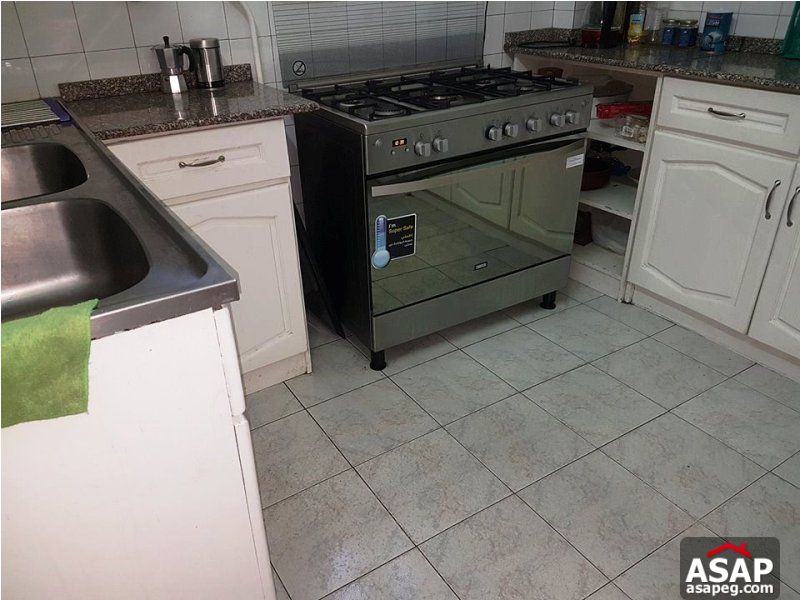 Apartment with Terrace for Rent in Zamalek Apartment with Terrace for Rent in Zamalek