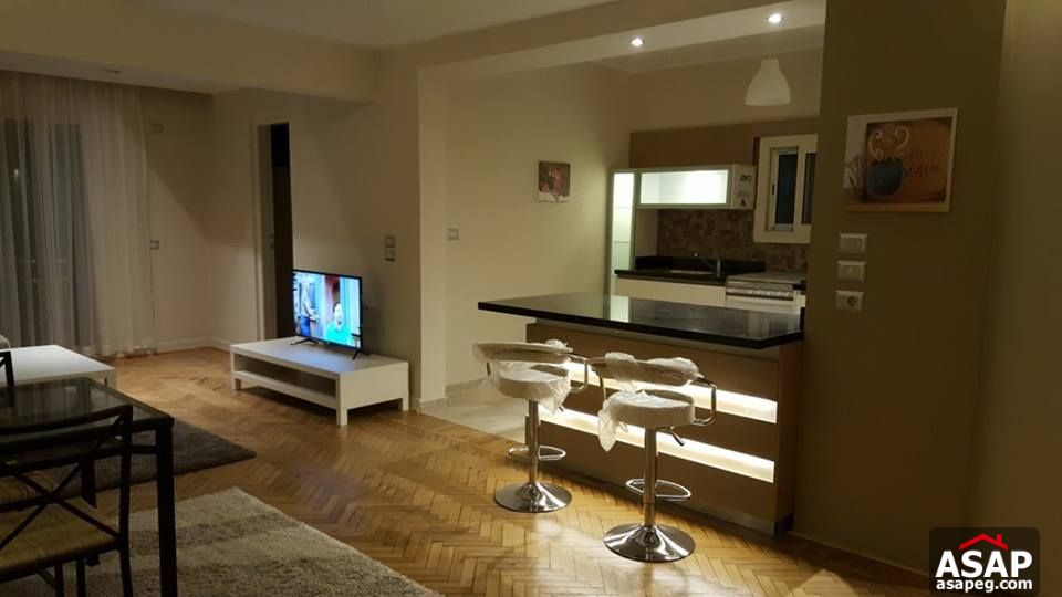 Apartment with Nile View for Rent in Zamalek Apartment with Nile View for Rent in Zamalek