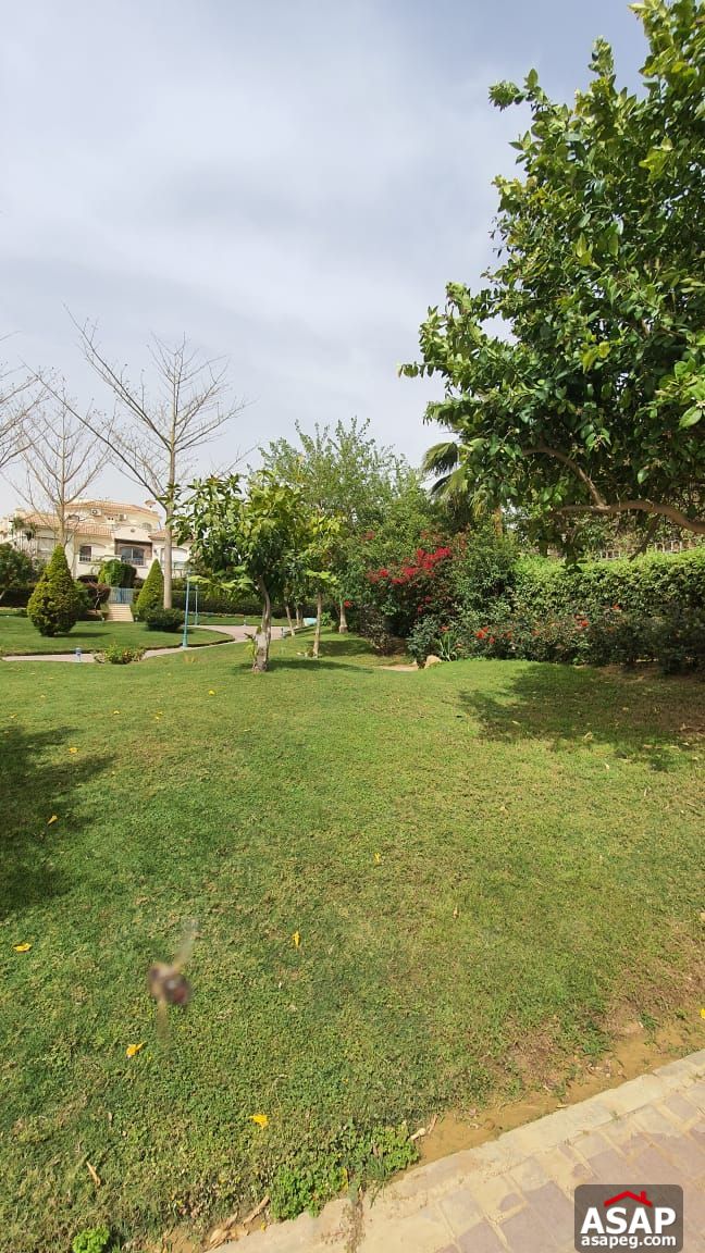 Stand Alone with Lake View for Rent in El Patio Compound Stand Alone with Lake View for Rent in El Patio Compound