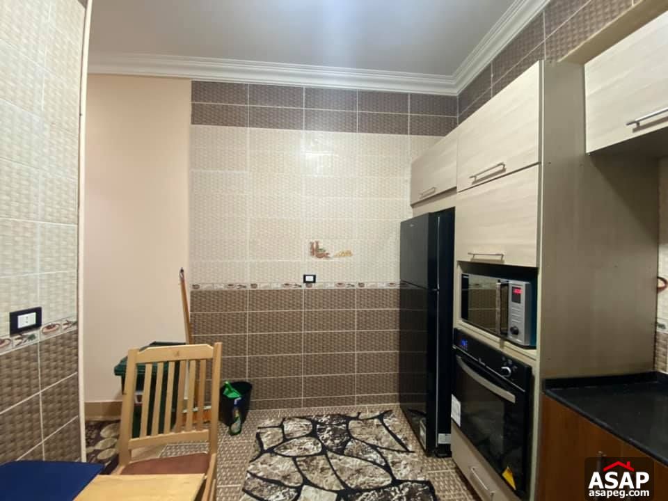 Apartment for Rent in Zamalek Apartment for Rent in Zamalek