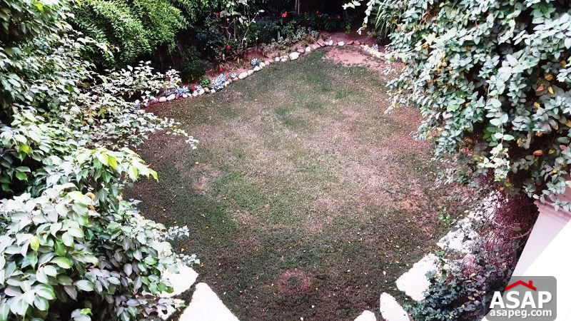 Furnished Villa with Big Garden for Rent in New Cairo Furnished Villa with Big Garden for Rent in New Cairo