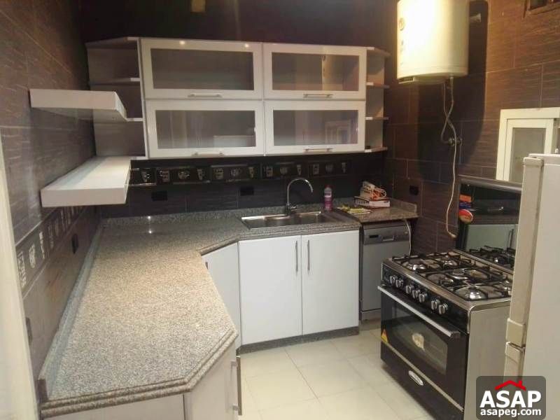 Apartment with Big Roof for Rent in Zamalek Apartment with Big Roof for Rent in Zamalek