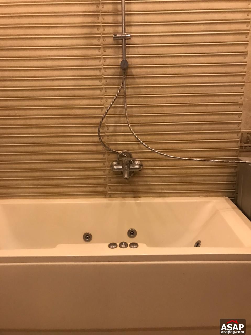 Furnished Apartment for Rent in Eastown Furnished Apartment for Rent in Eastown