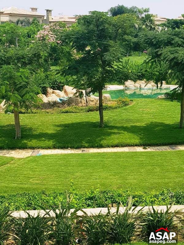 Stand Alone with Garden for Rent in Lake View Stand Alone with Garden for Rent in Lake View