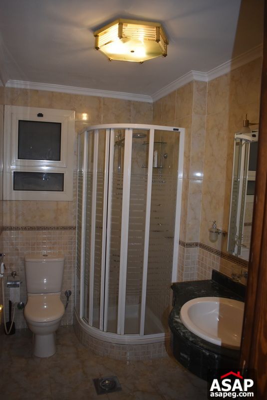 Furnished Apartment in Zamalek for Rent Furnished Apartment in Zamalek for Rent