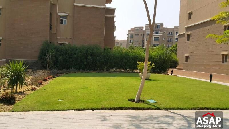 Apartment for Rent in Katameya Plaza Apartment for Rent in Katameya Plaza