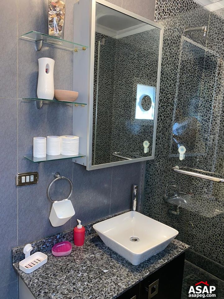 Apartment for Rent in Maadi Degla Apartment for Rent in Maadi Degla