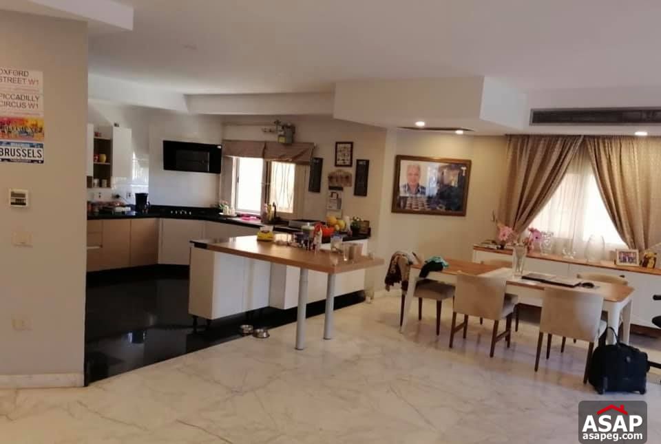 Apartments for Rent in New Cairo Apartments for Rent in New Cairo