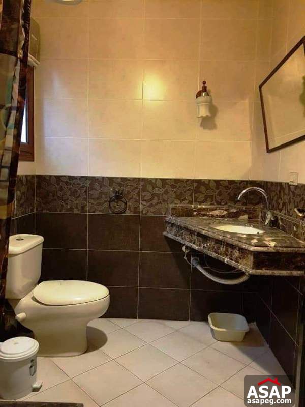 Furnished Apartment for Rent in Maadi Degla Furnished Apartment for Rent in Maadi Degla